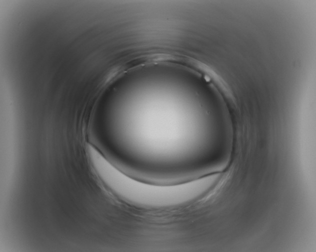 X0000113891185200910011316