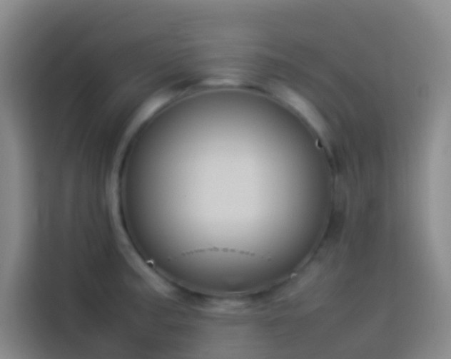 X0000113891187200910011316