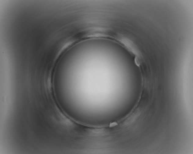 X0000113891189200910011316