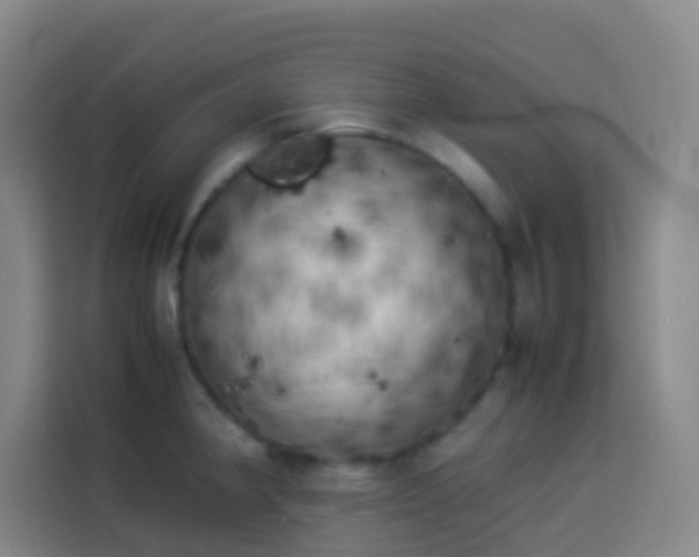 X0000113891190200910011316