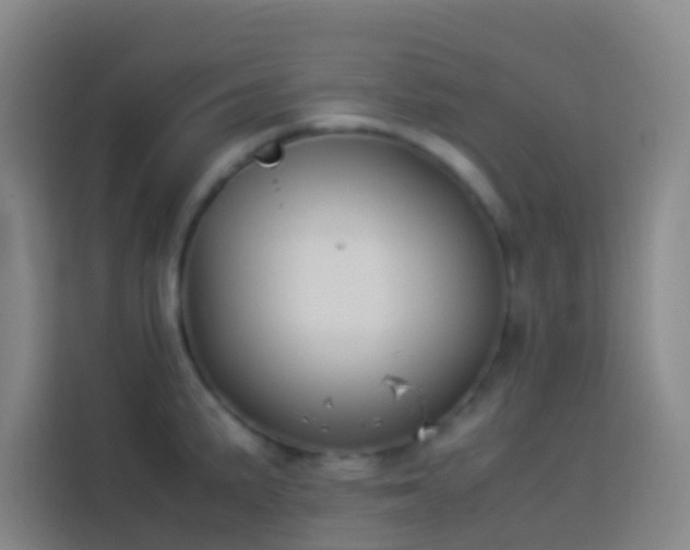 X0000113891191200910011316