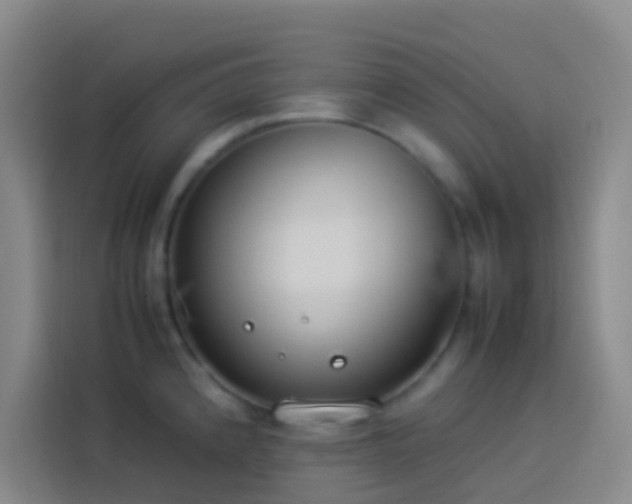 X0000113891192200910011316