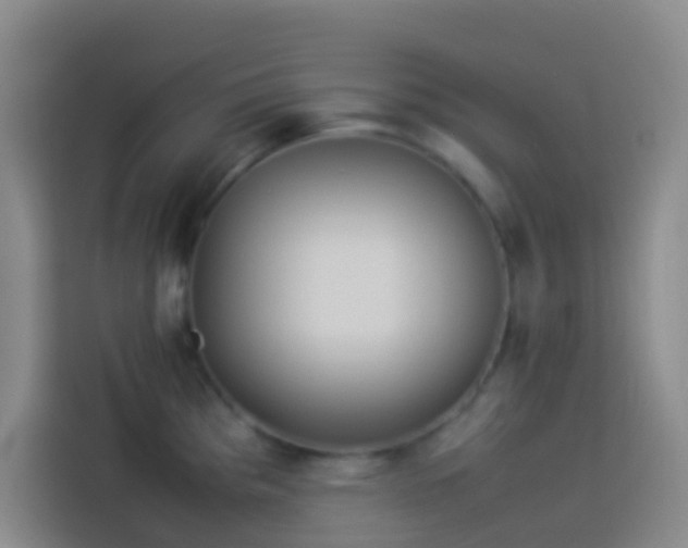 X0000113891193200910011316