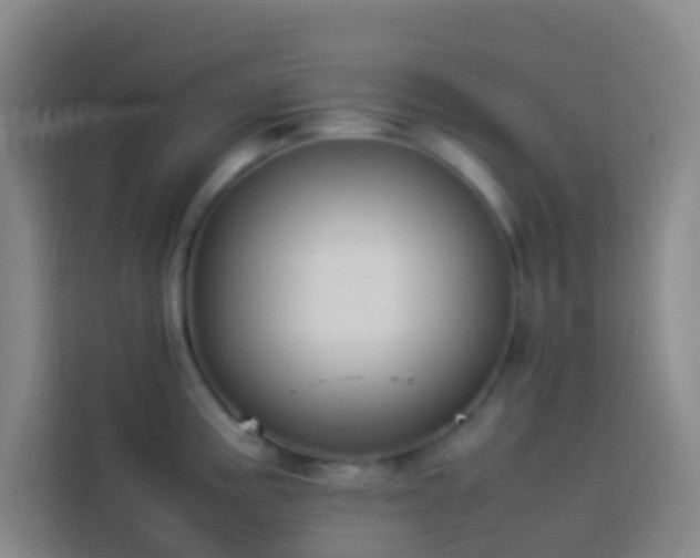 X0000113891195200910011316