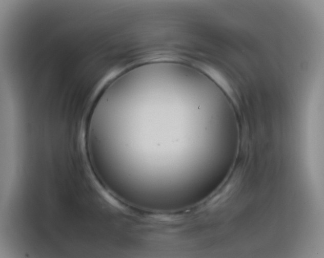 X0000113891197200910011316