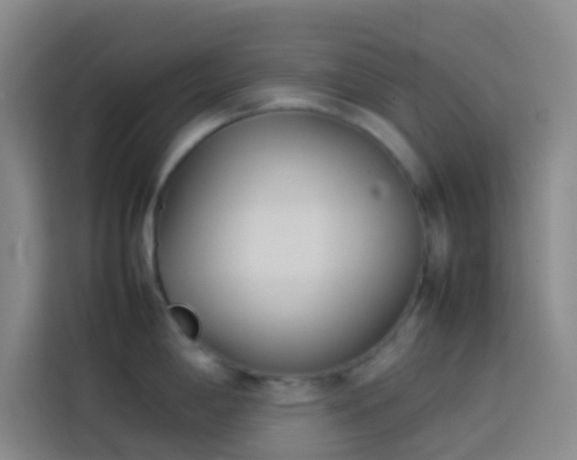 X0000113891198200910011316