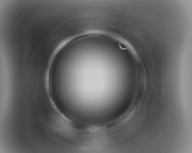 X0000113891199200910011316