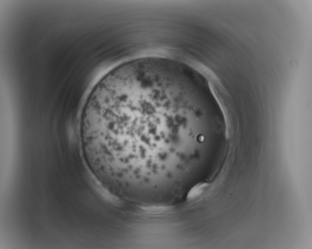 X0000113891200200910011316