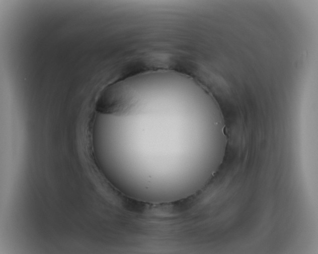 X0000113891201200910011316