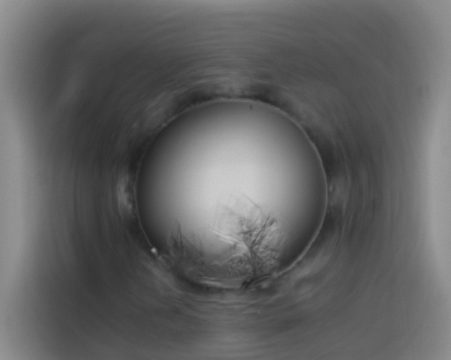 X0000113891202200910011316