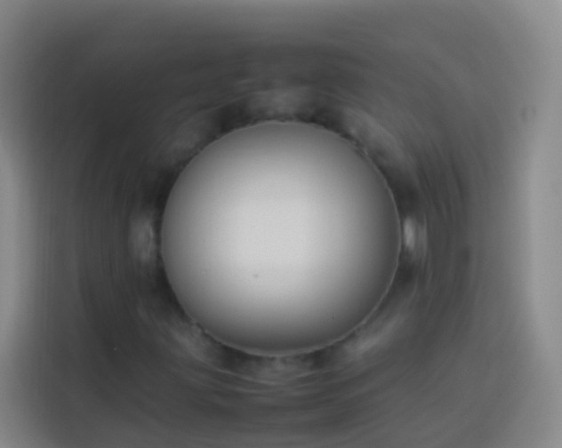 X0000113891203200910011316