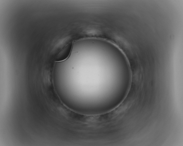 X0000113891205200910011316