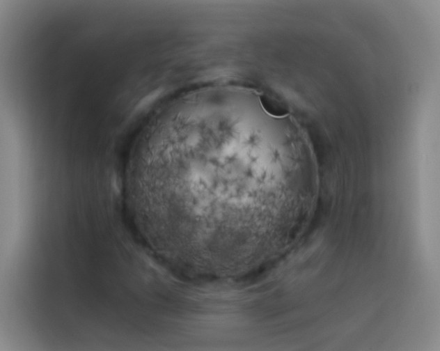 X0000113891206200910011316