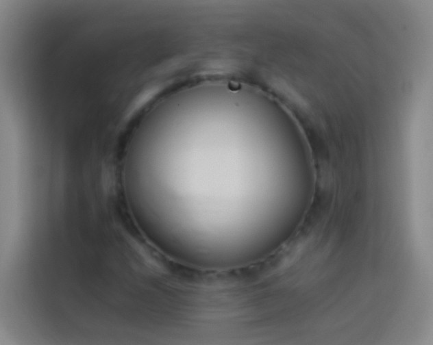 X0000113891208200910011316