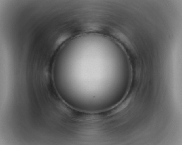 X0000113891210200910011316