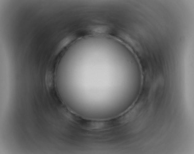 X0000113891211200910011316