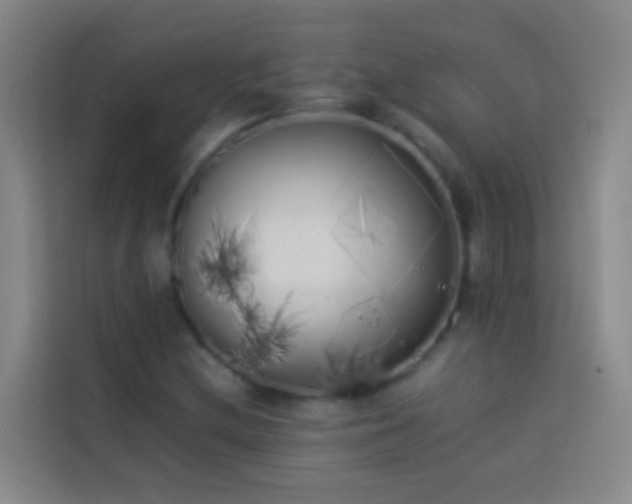 X0000113891212200910011316