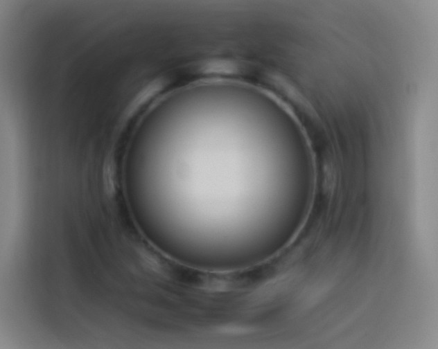 X0000113891213200910011316