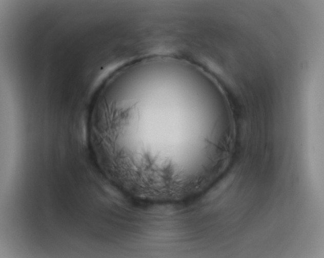 X0000113891214200910011316