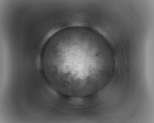 X0000113891215200910011316