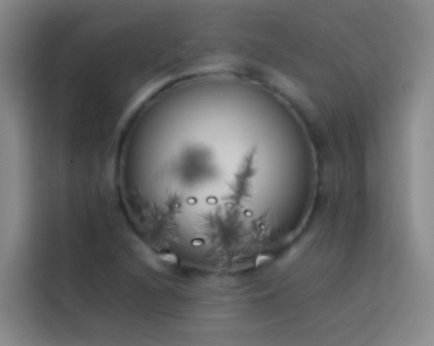 X0000113891216200910011316
