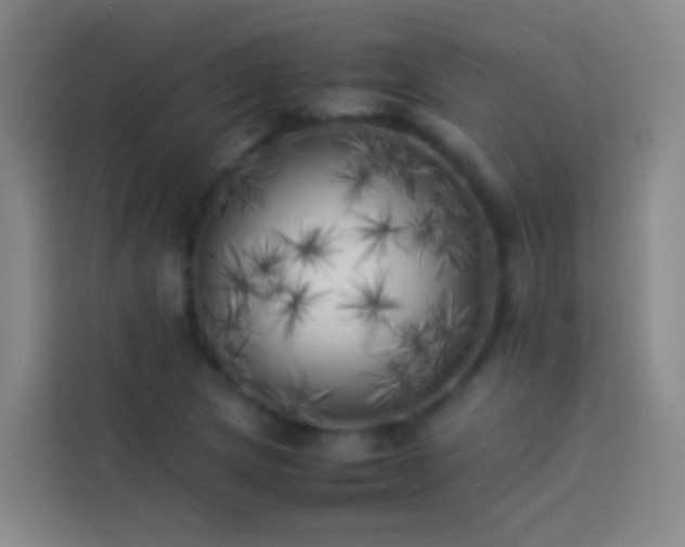 X0000113891217200910011316