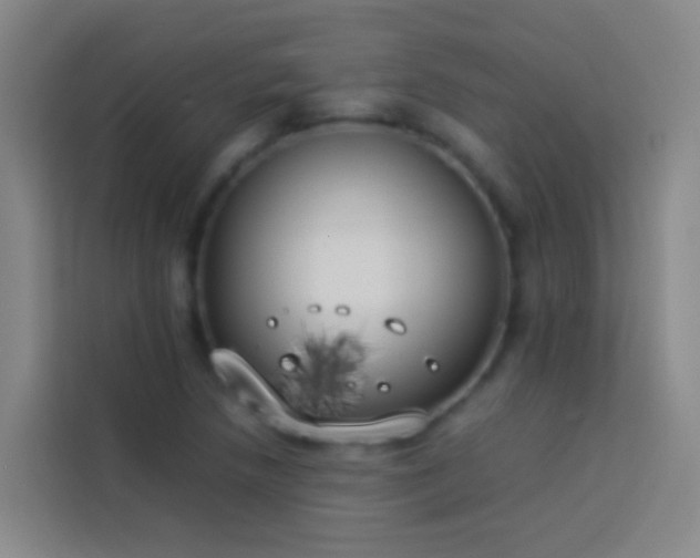 X0000113891218200910011316