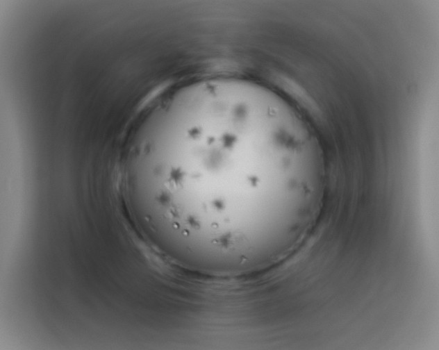 X0000113891220200910011316