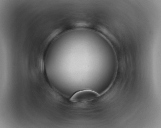 X0000113891221200910011316