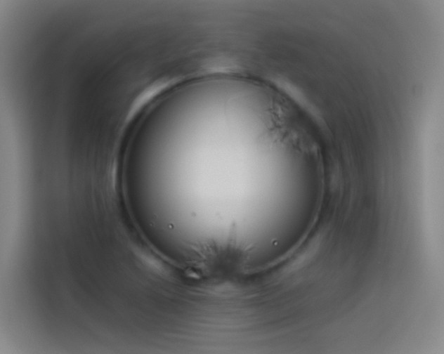 X0000113891222200910011316