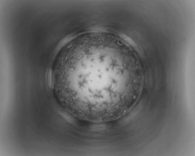X0000113891223200910011316
