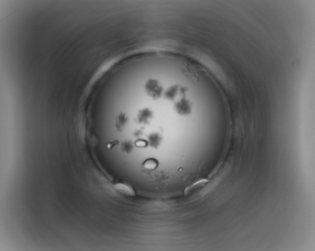 X0000113891224200910011316
