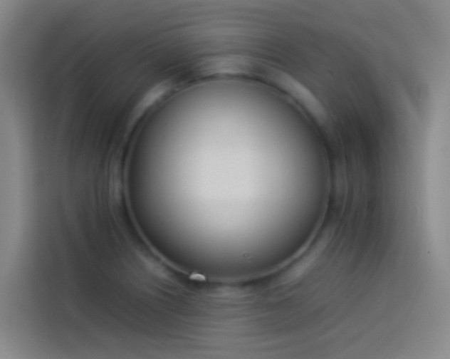 X0000113891226200910011316