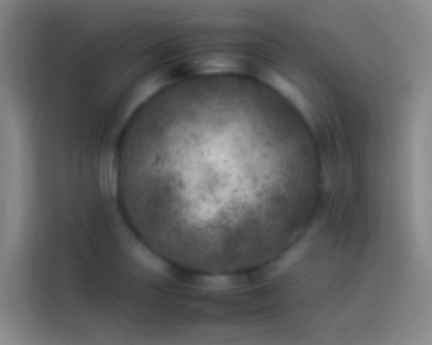 X0000113891227200910011316