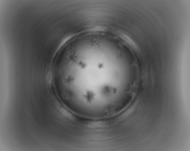 X0000113891228200910011316