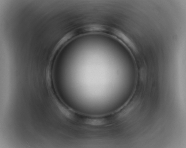 X0000113891229200910011316