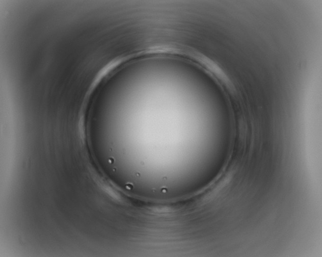 X0000113891230200910011316