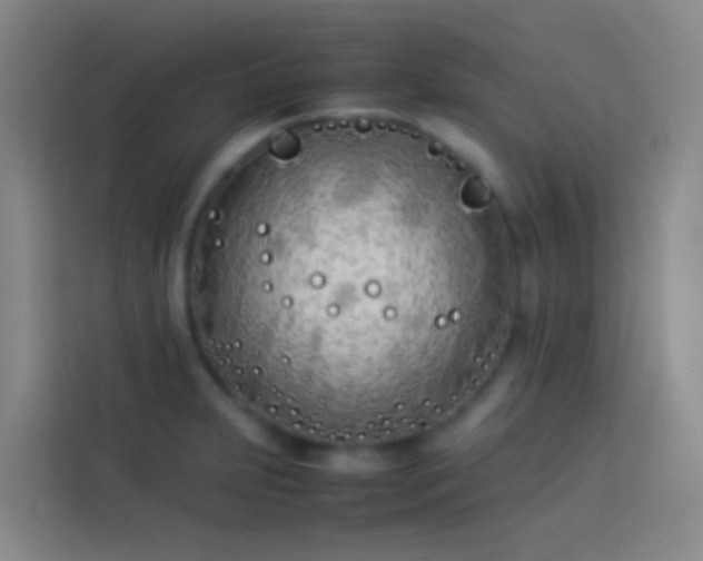 X0000113891231200910011316