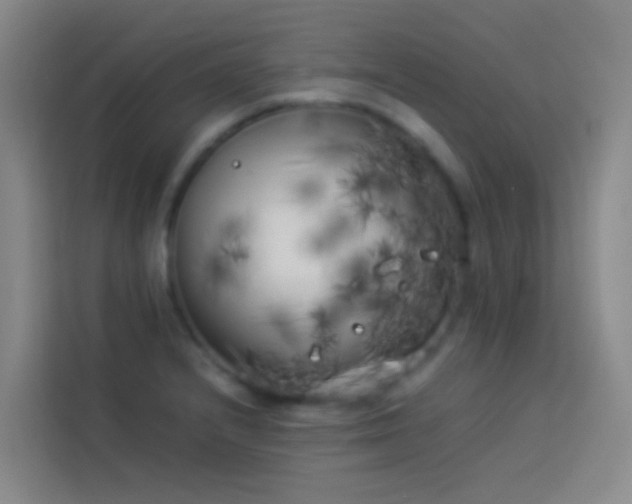 X0000113891232200910011316