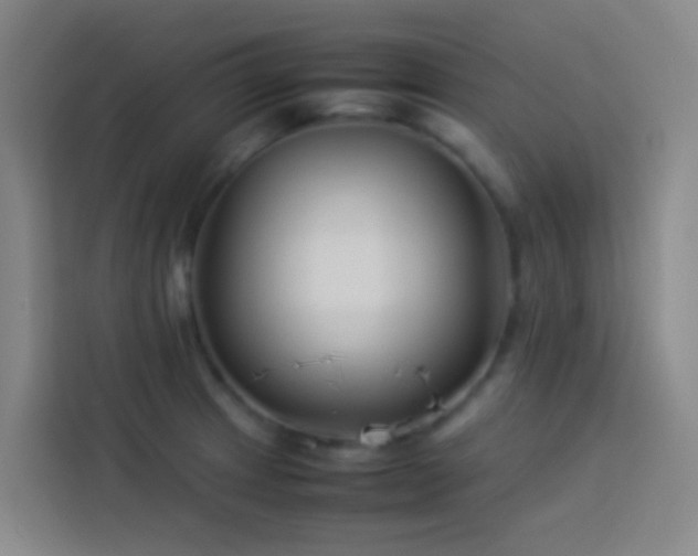 X0000113891233200910011316