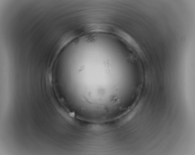 X0000113891234200910011316