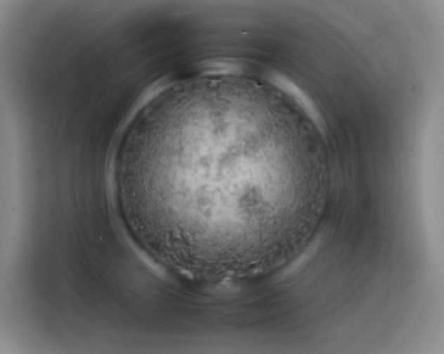 X0000113891235200910011316