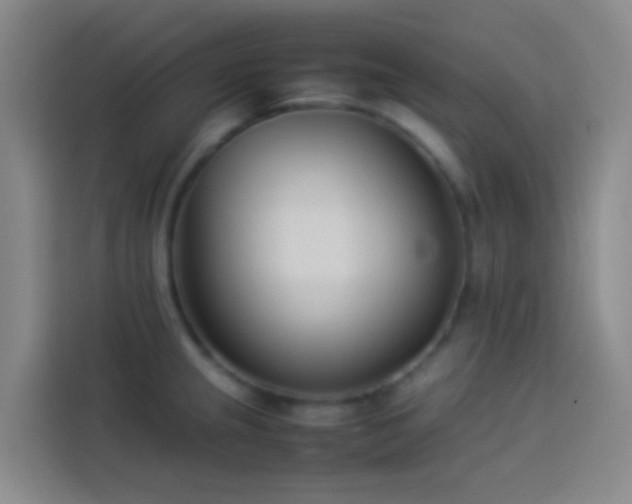 X0000113891237200910011316