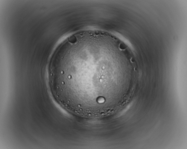 X0000113891239200910011316