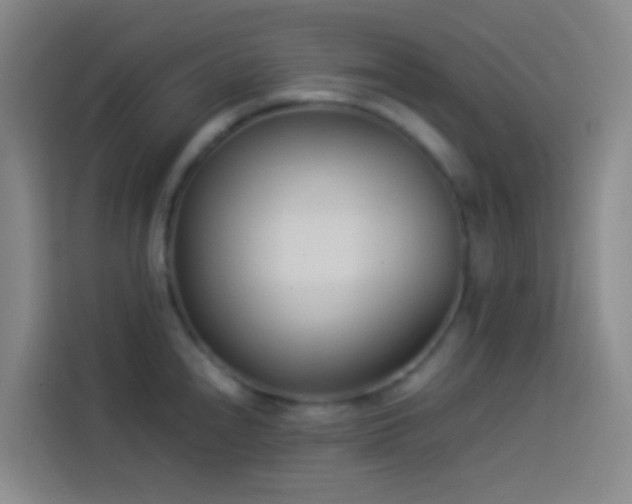 X0000113891240200910011316