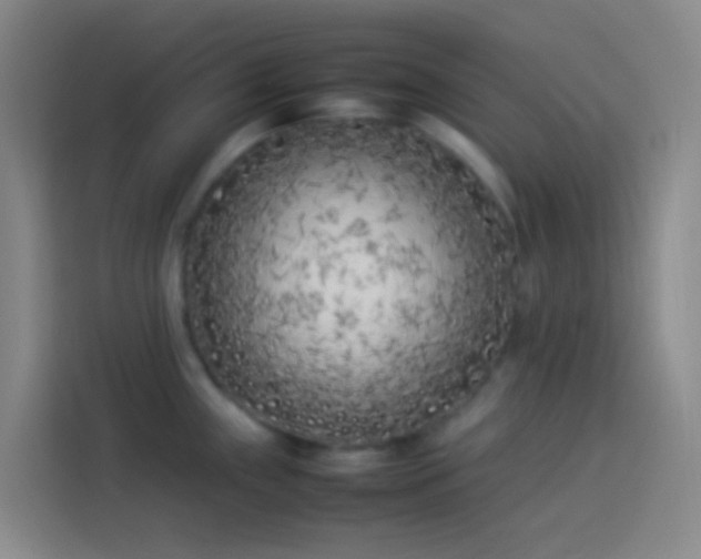 X0000113891243200910011316