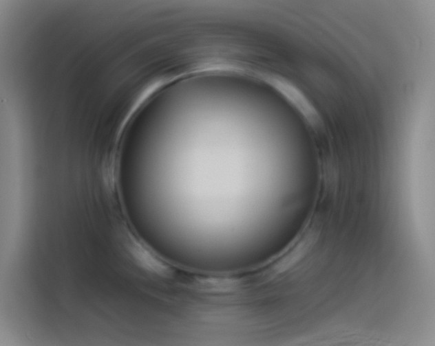 X0000113891244200910011316