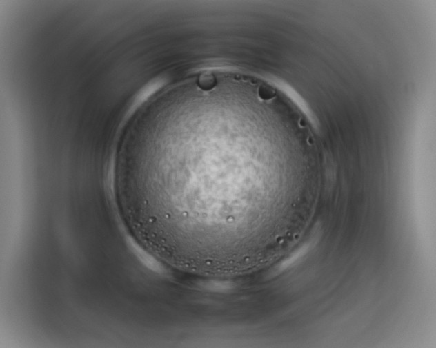 X0000113891245200910011316