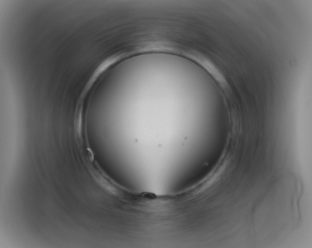 X0000113891246200910011316