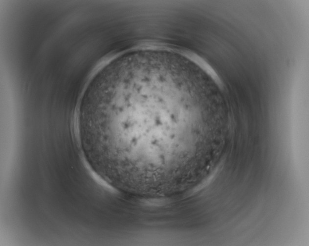 X0000113891247200910011316
